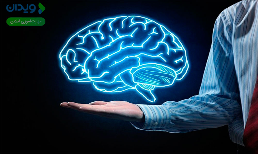 عملکرد مغز چگونه با بالاترین ارزش‌های فرد ارتباط دارد؟